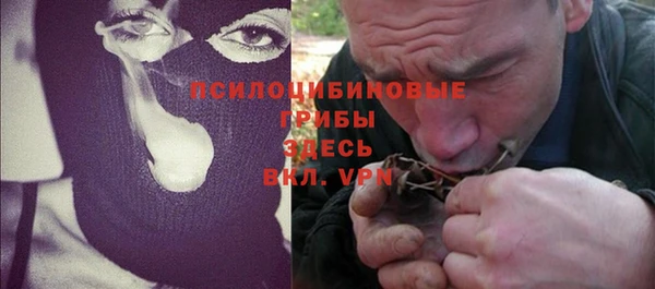 PSILOCYBIN Гусь-Хрустальный