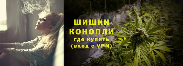 гашик Вяземский