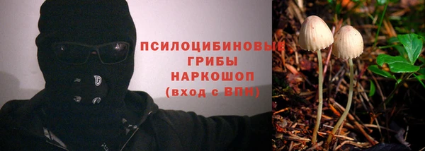 первитин Гусиноозёрск