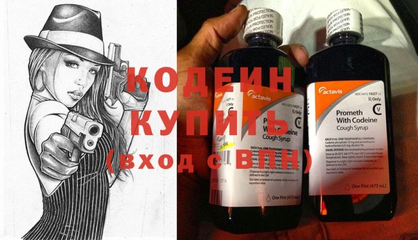 гашик Вяземский