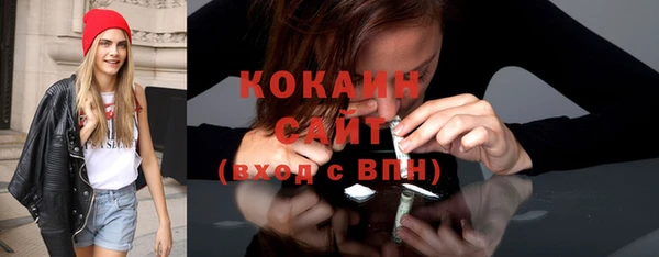 гашик Вяземский