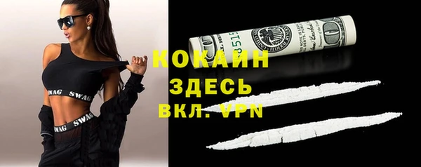PSILOCYBIN Гусь-Хрустальный