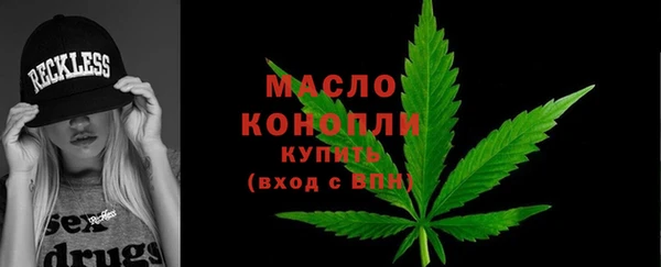 гашик Вяземский