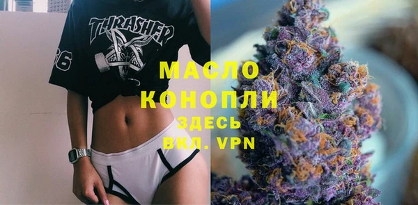 гашик Вяземский