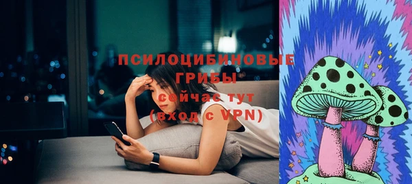 мескалин Гусев